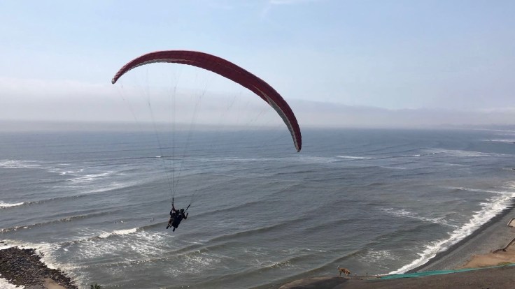 WhatsApp Image 2018-02-02 at 09.48.58